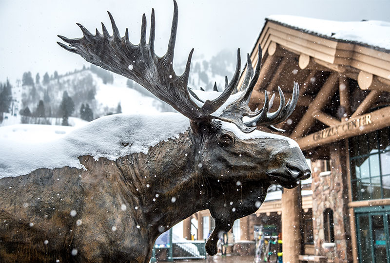 Moose statue with fresh snow on it at Snowbasin Mountain Resort.