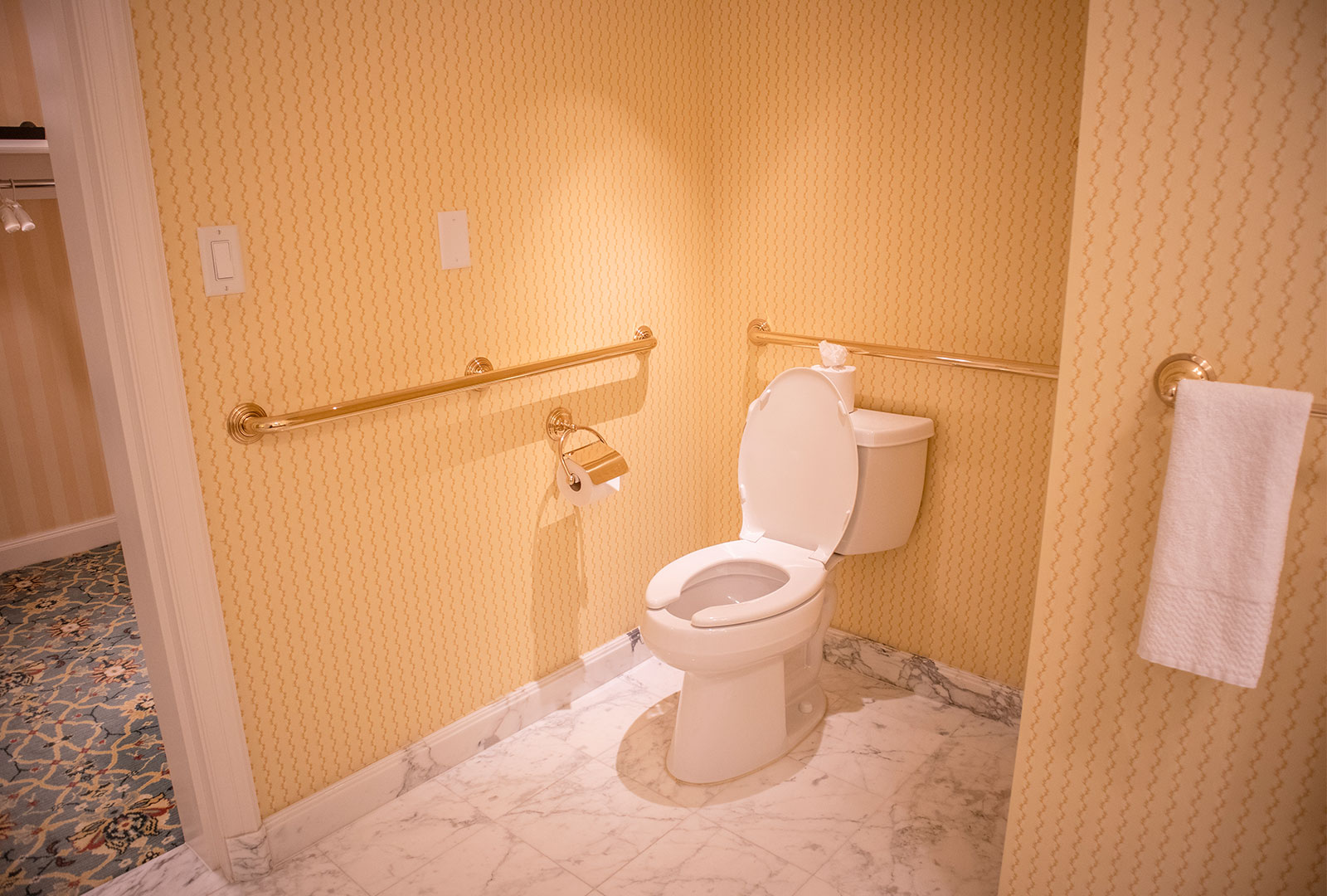 Bathroom Toilet With ADA Rails