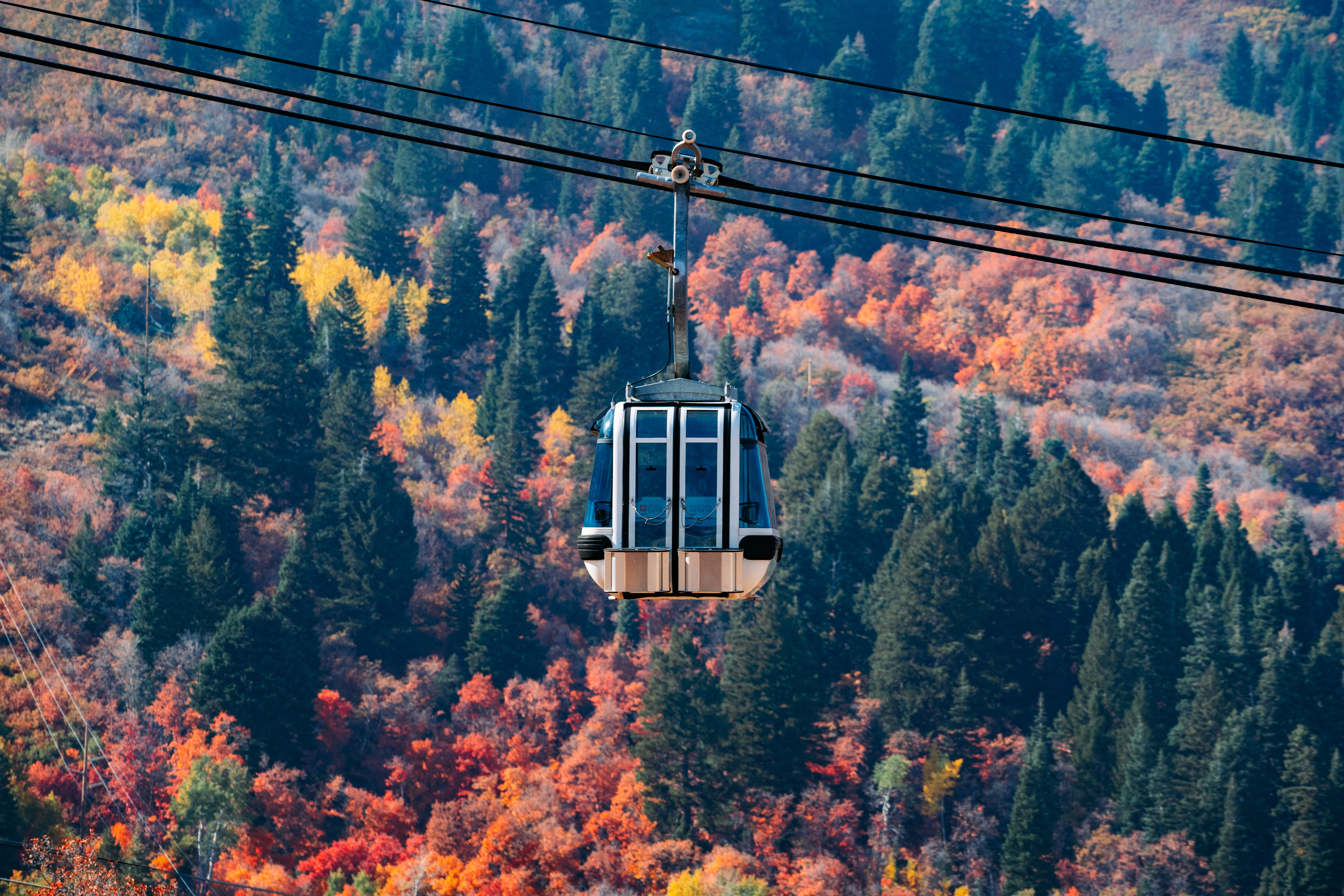 fall colors gondola ride